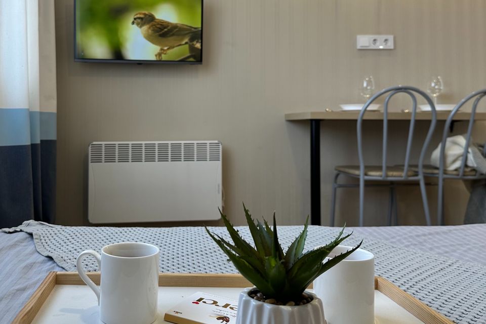 Студия в центре Артема 