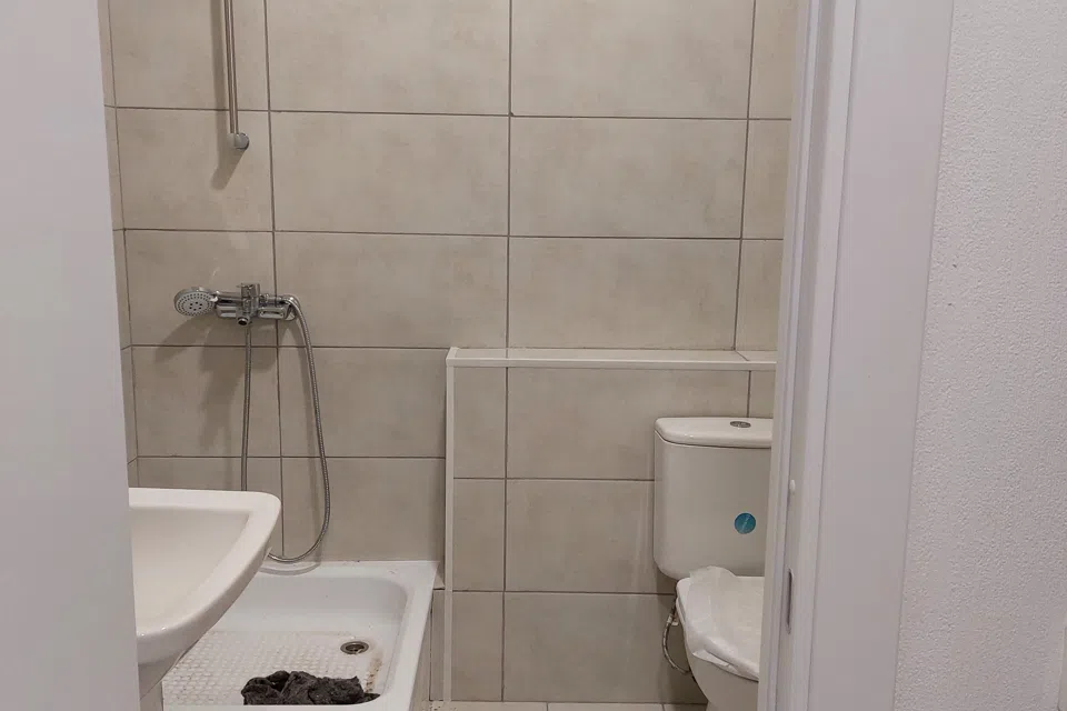 Студия вид на лес