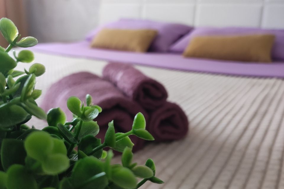 Уютная квартира на Ташкентской 140