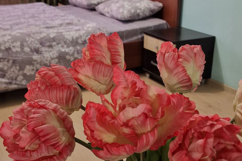 Комната в центре 
