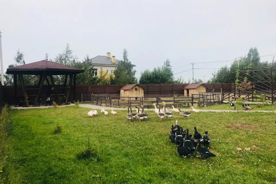 уютная вилла с пруд