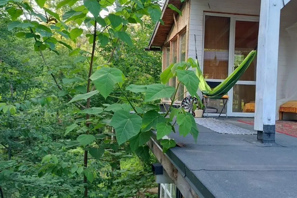 Уединенное бунгало на берегу озера