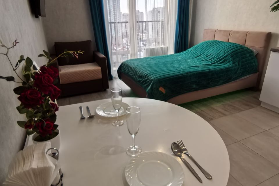 Квартира студия с красивым видом