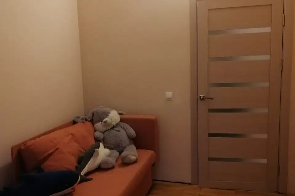 Уютный дом для большой компании