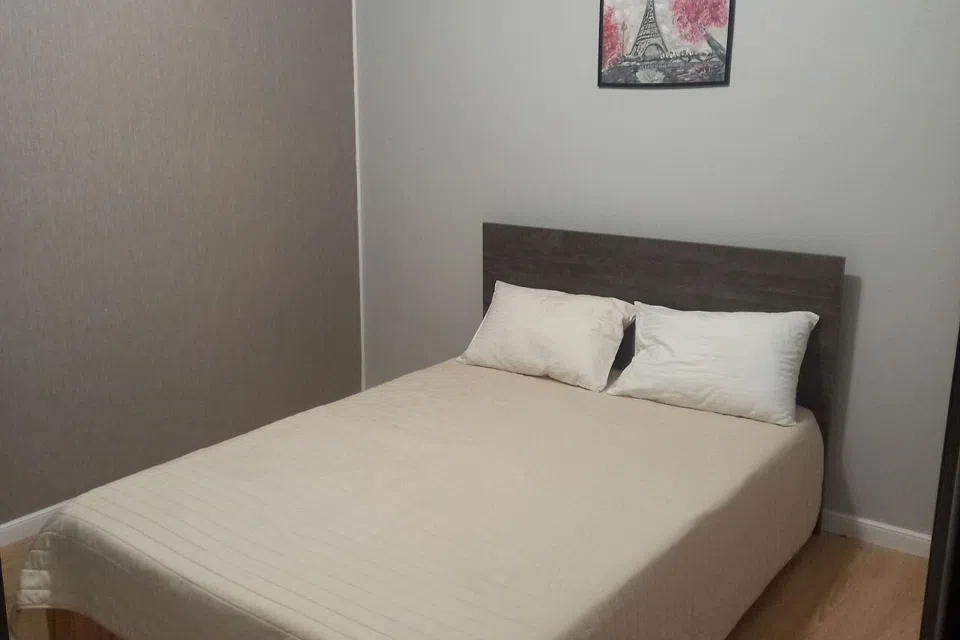 Студ. Сазонова 49м², 3 кровати, 4м