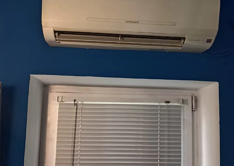 Студия Синий Тигр