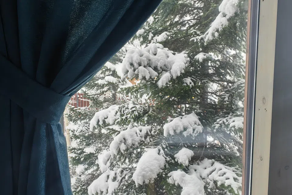 Современный дом с видом на горы и лес