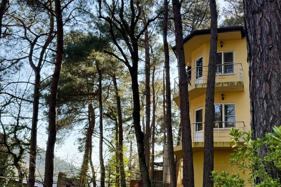 Квартира с видом на лес. 1 этаж