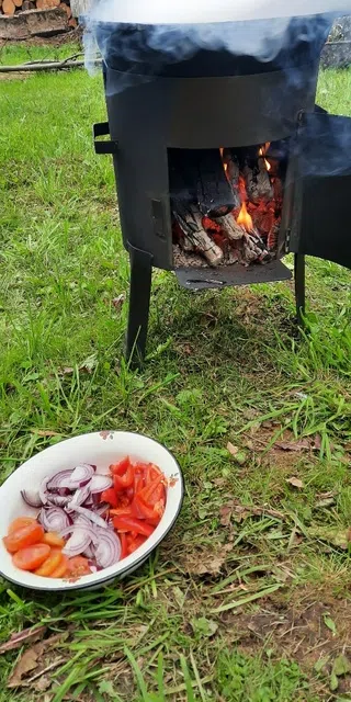 Бабушкина дача у леса