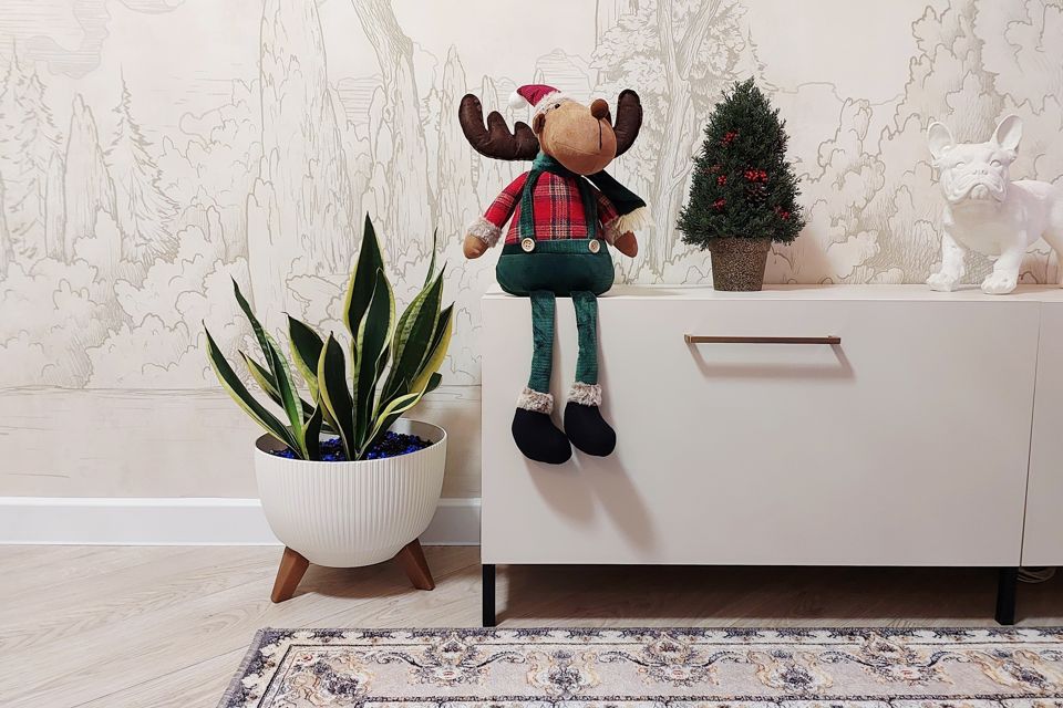 Квартира на улице Профессора Севастьянова 15