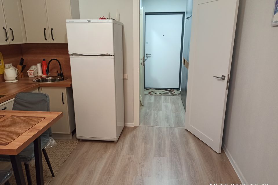 Уютная квартира-студия 21.8 м кв, 1 диван-кровать.