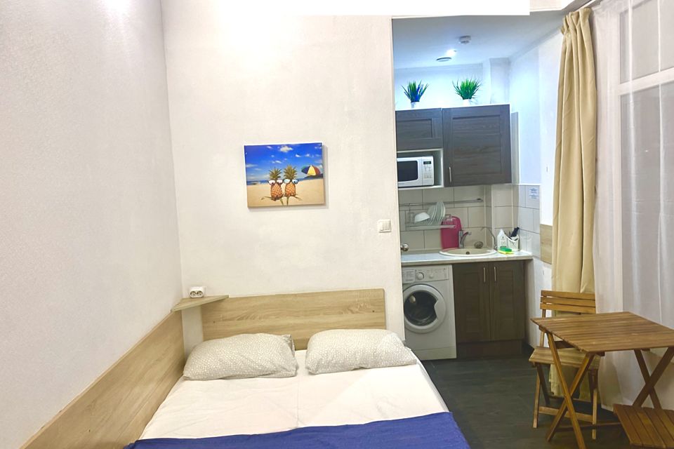 Уютная студия на двоих с кухней