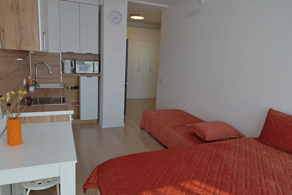 Студ.Стрелковский, Студия, 32 м², 2 кровати, 3м,