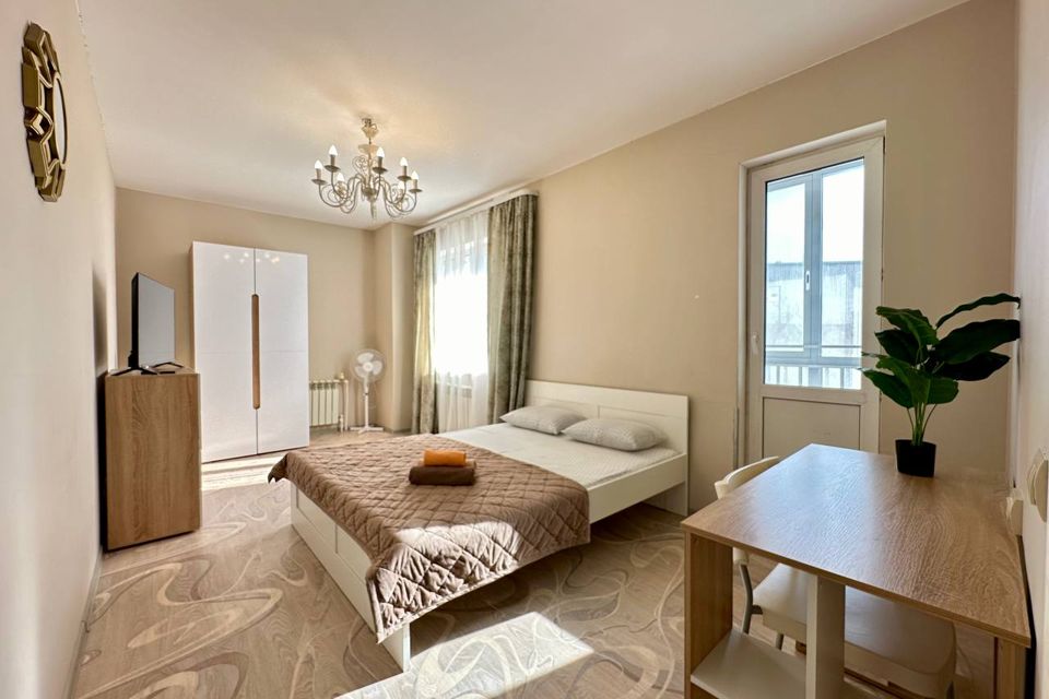 Однокомнатная квартира на Пирогова, 9