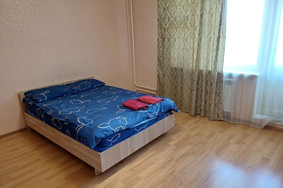 Уютная квартира Андреевка 29