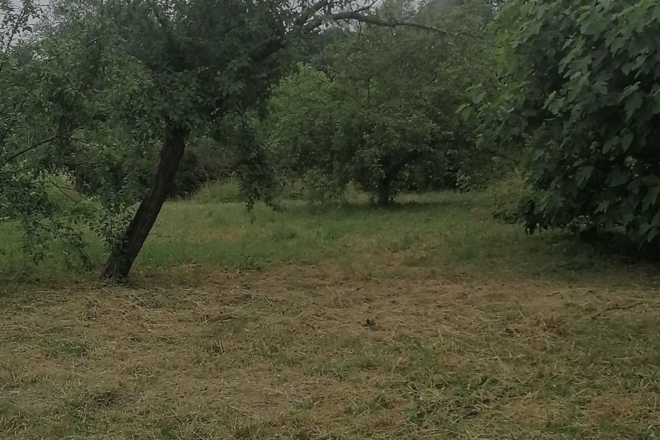 Сдаётся уютный и просторный дом в лоне природы