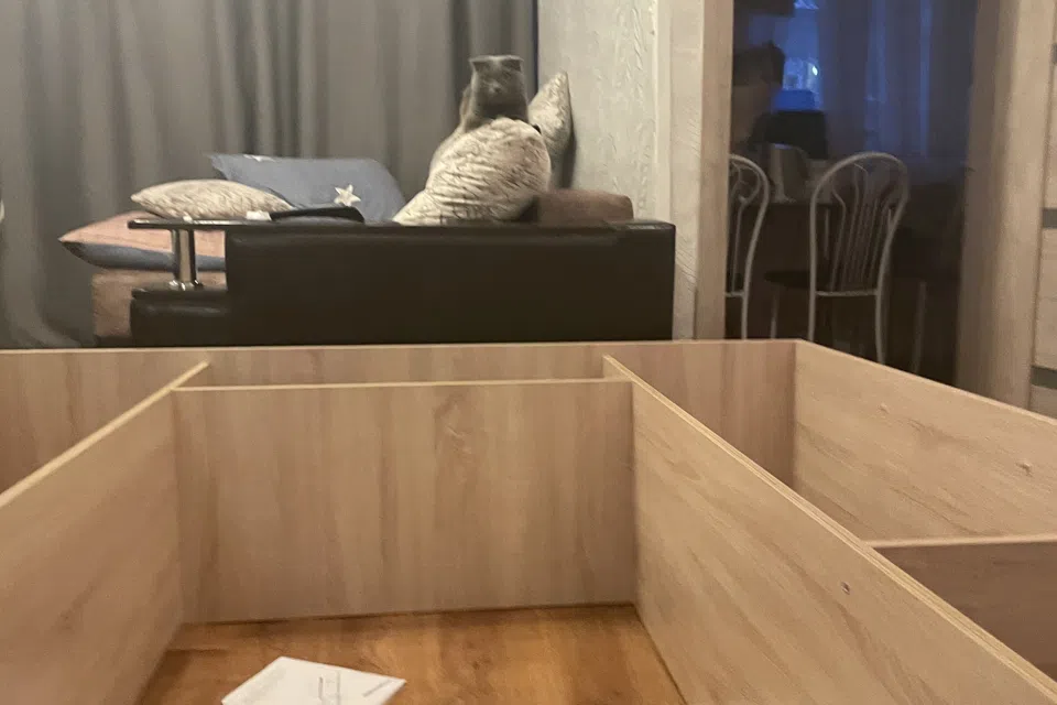Уютная квартира с котиком 