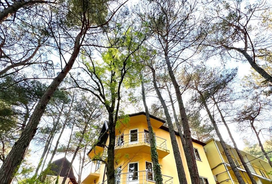 Просторная квартира с видом на лес. 2 этаж