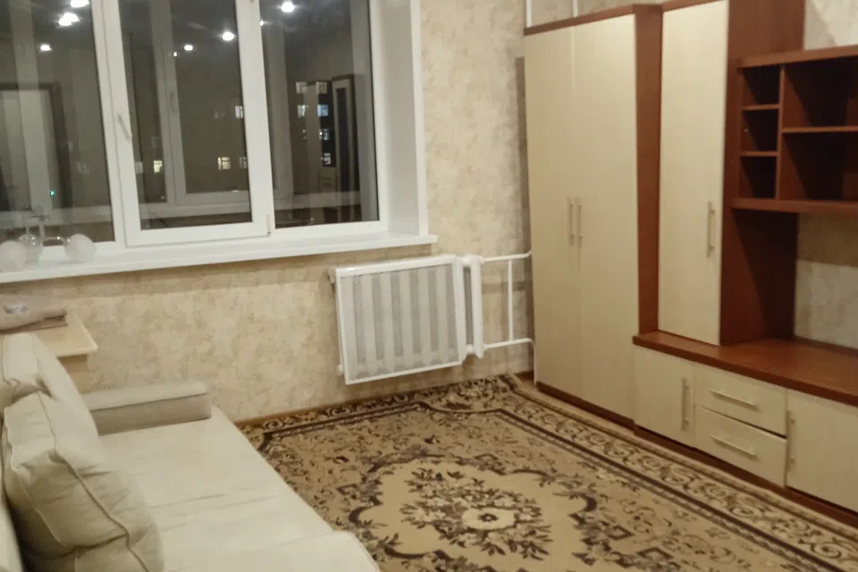 Квартира рядом парк и отличный выезд на Москву и Суздаль..