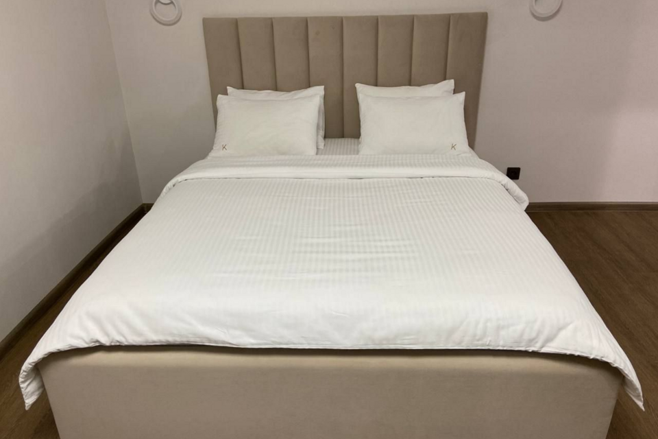 Апартаменты Делюкс с кухней на Сурикова 4 