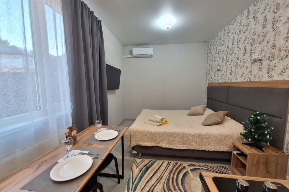 Квартира - студия со своим двором, парковкой, мангалом. 