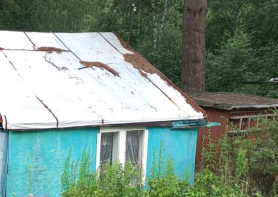 Бабушкина дача у леса