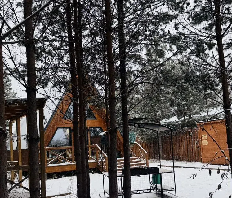 Сосновый дом в лесу