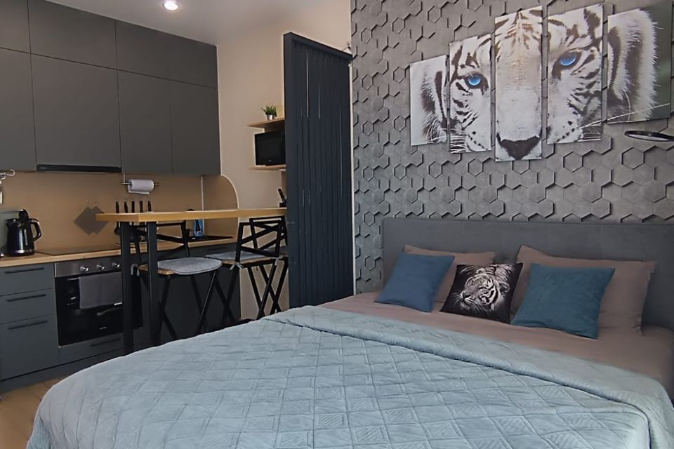 Уютная квартира в пригороде