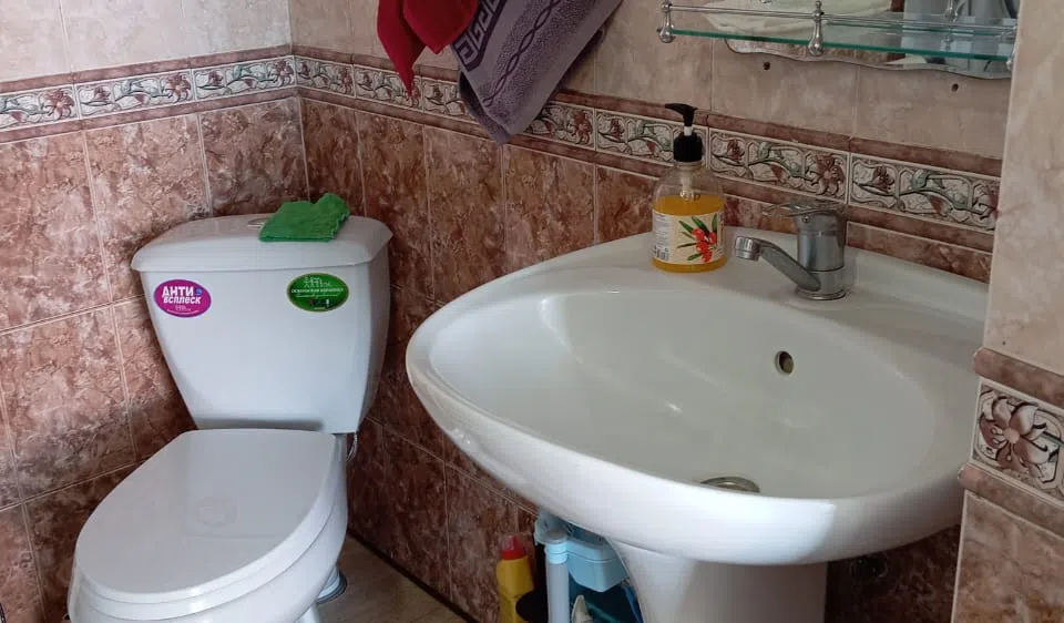  Сельский домик