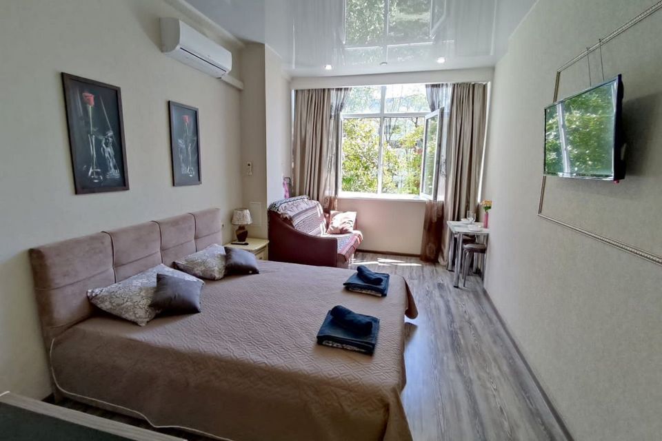 Светлая студия с пaноpaмным видом на caд