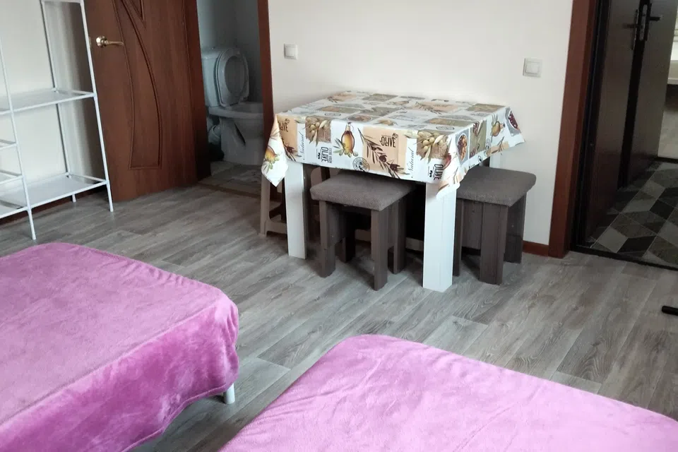 Гостевой, благоустроенный дом. 