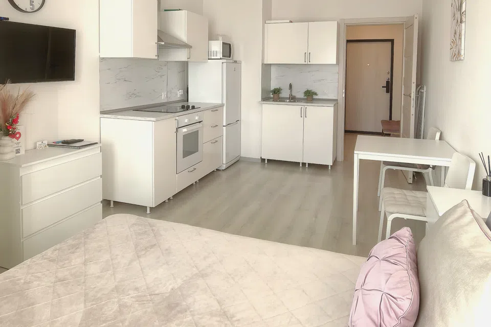 Эйфория апартаменты ул.Кузнецовская д.58 к.4 