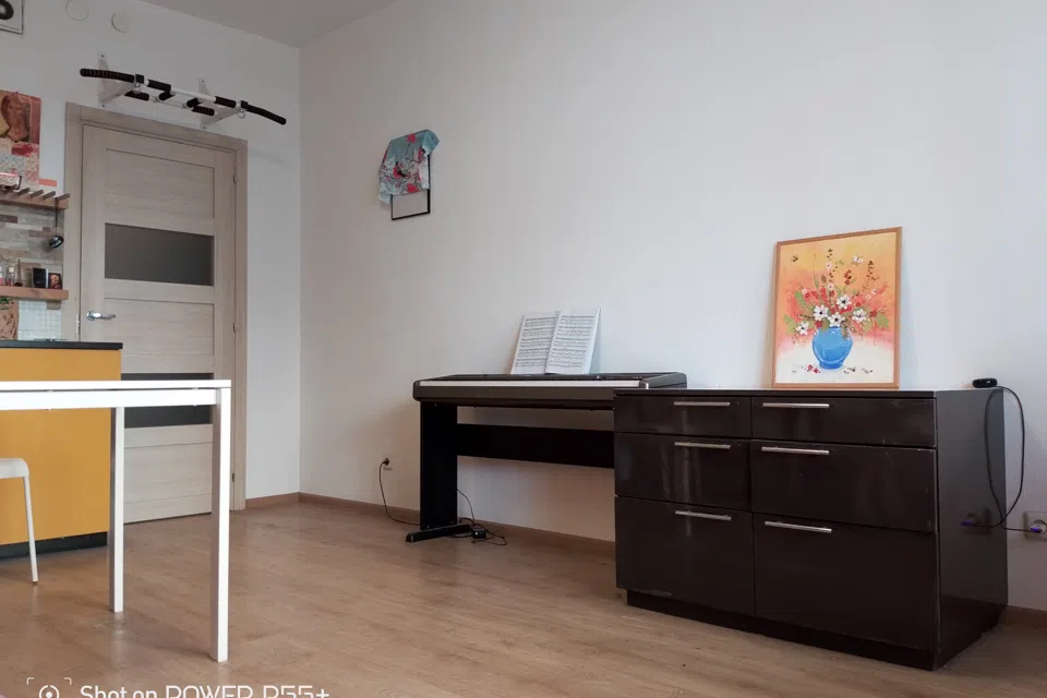 Кудрявая студия