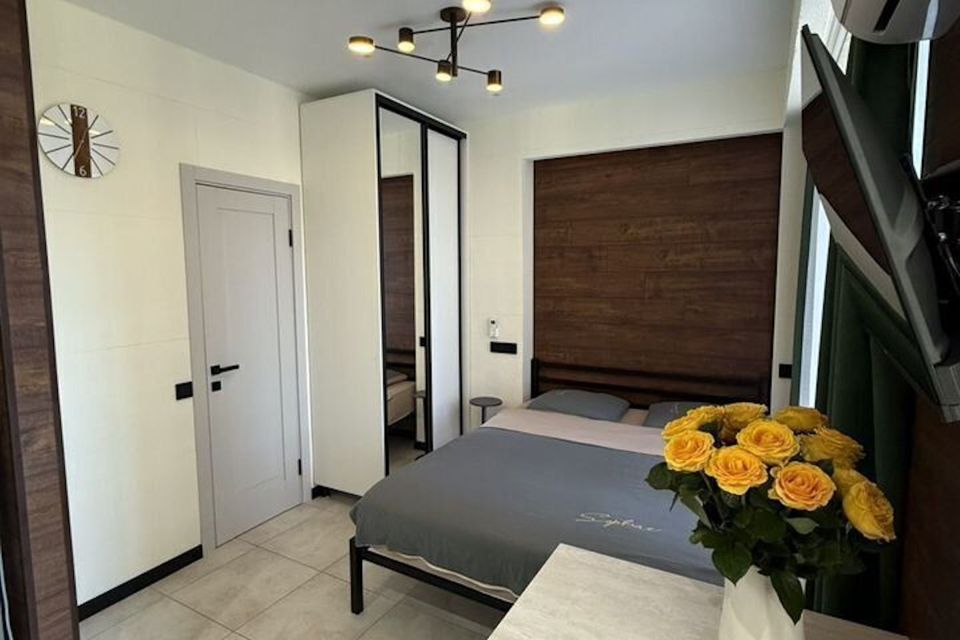 Студия пpeмиaльнoго классa в стилe Lоft