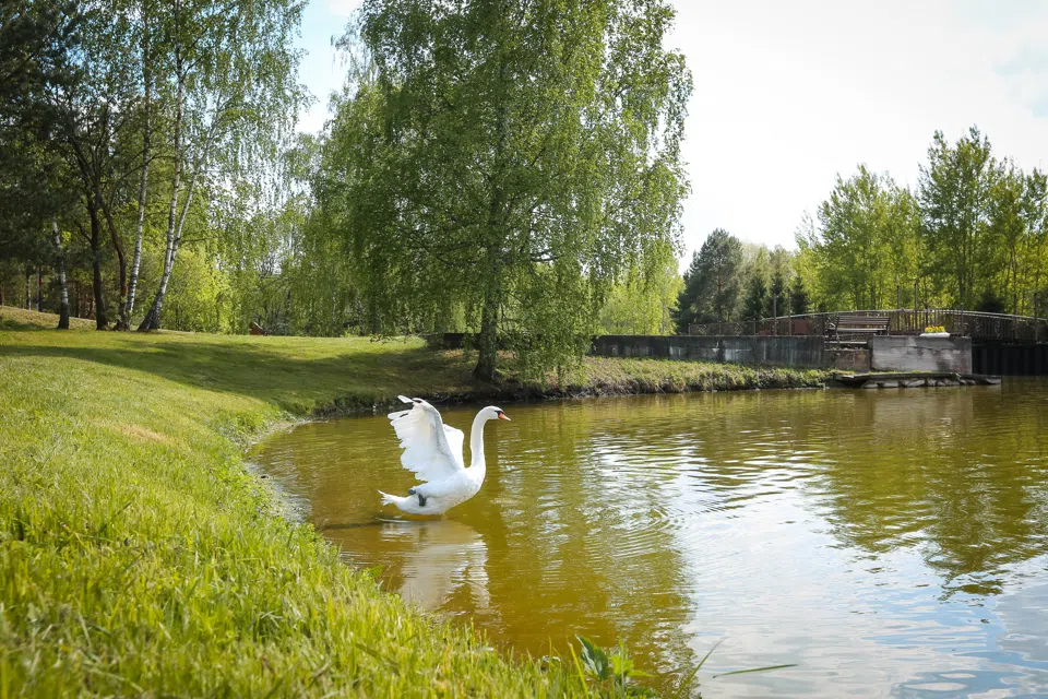 Просторный одноэтажный дом с камином. Персональная беседка.