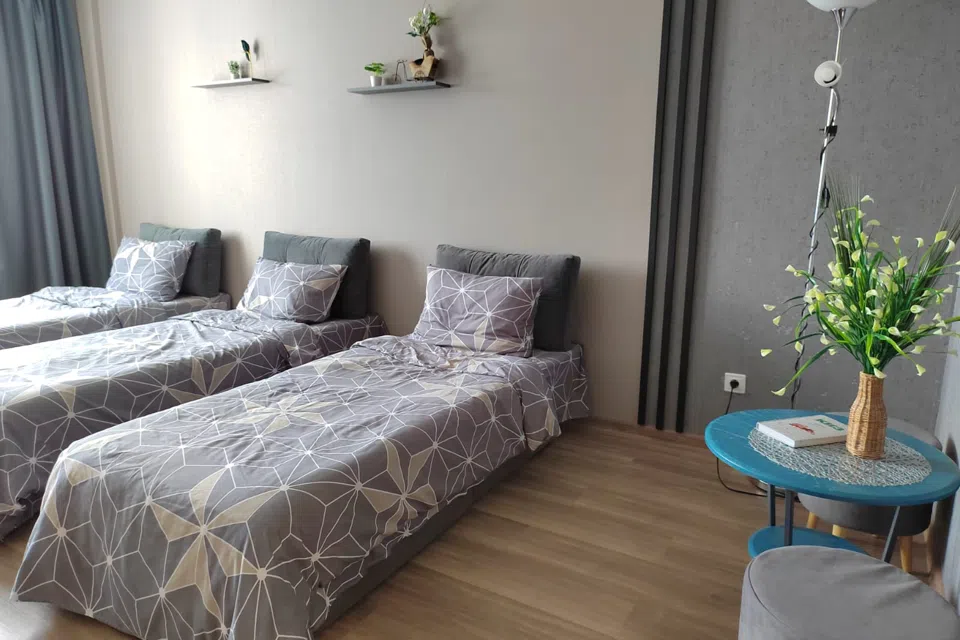 Квартира с тремя раздельными спальными местами у аэропорта. 
