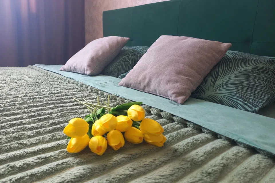 Квартира у Ледового дворца