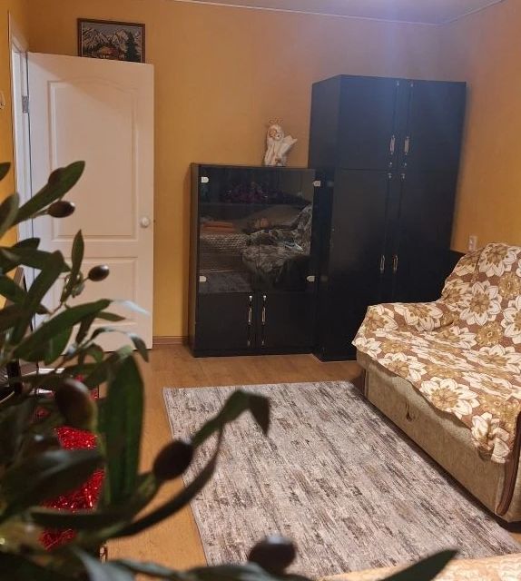 Уютная и теплая квартира в центре города