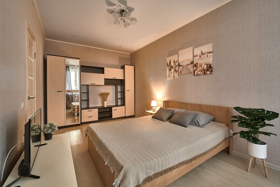 Однокомнатная квартира с двуспальной кроватью и диваном