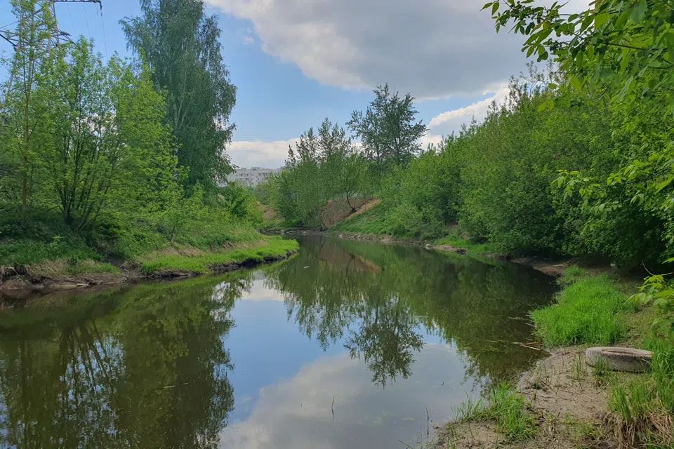 Квартира в парковой зоне с видом на речку . 