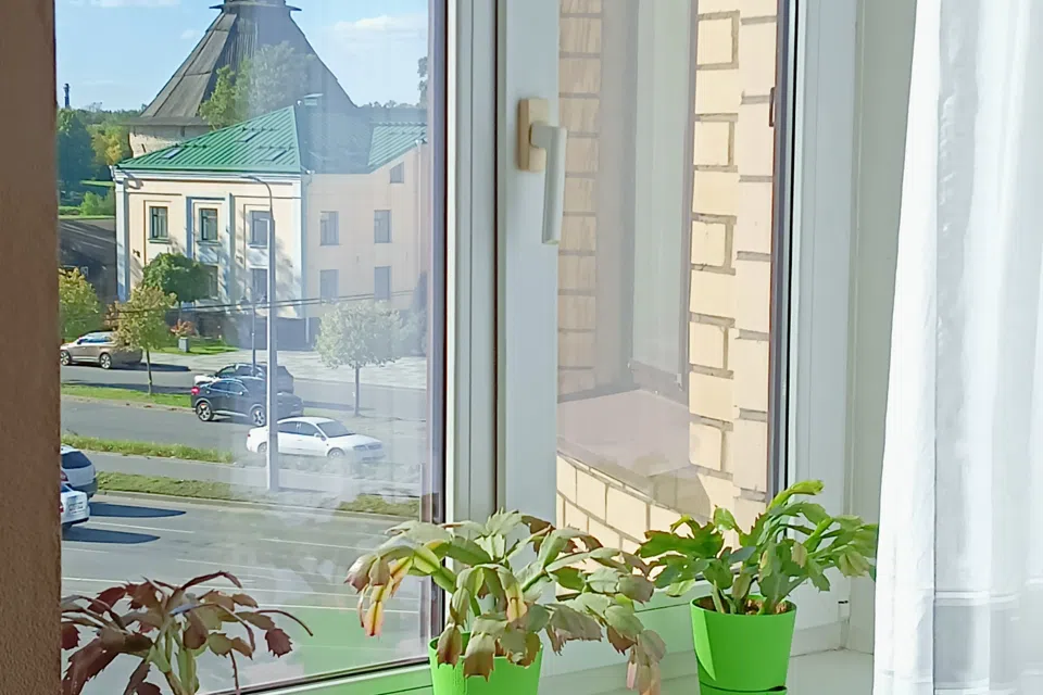 Квартира в центре с видом Покровскую башню и реку Великую