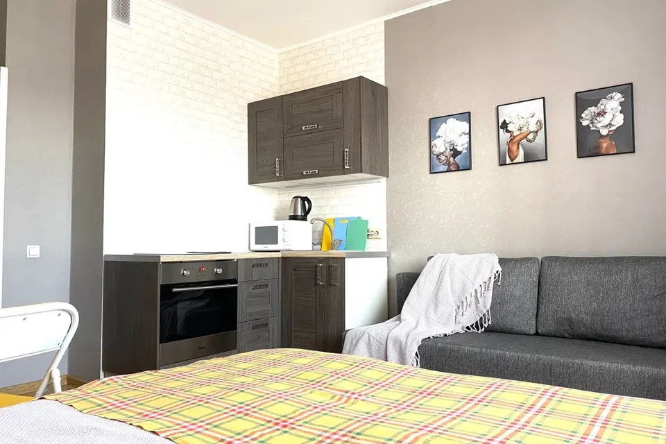 Квартира-студия, 25 м в д.Мисайлово