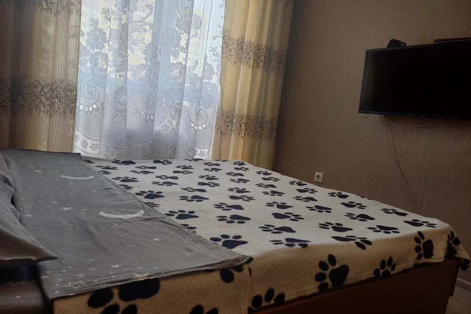 Квартира около Ледового дворца