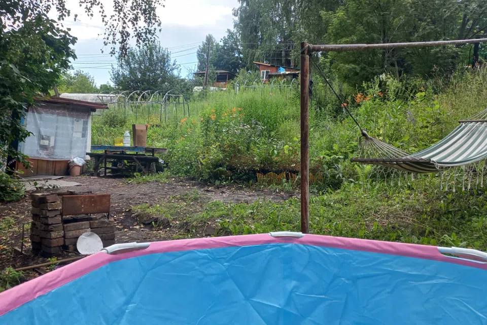 Бабушкина дача у леса