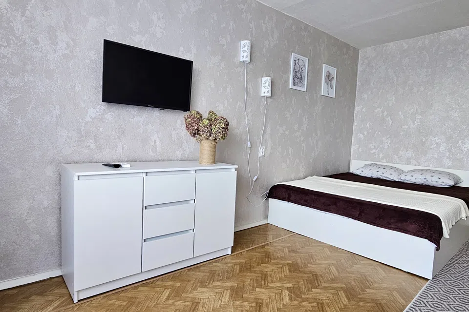 Квартира на ул. Моисеева 55