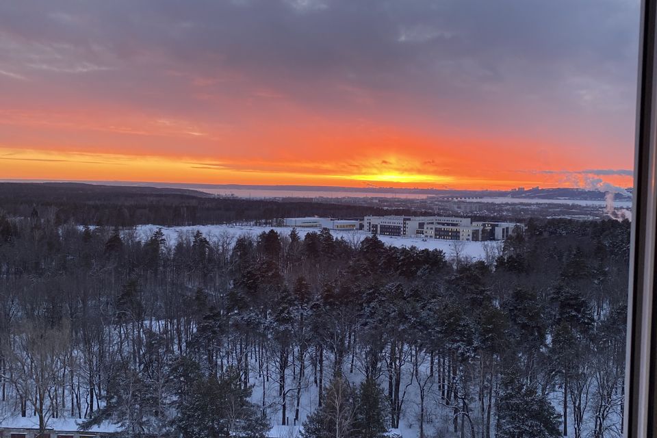 Уютная студия с видом на Волгу и лес