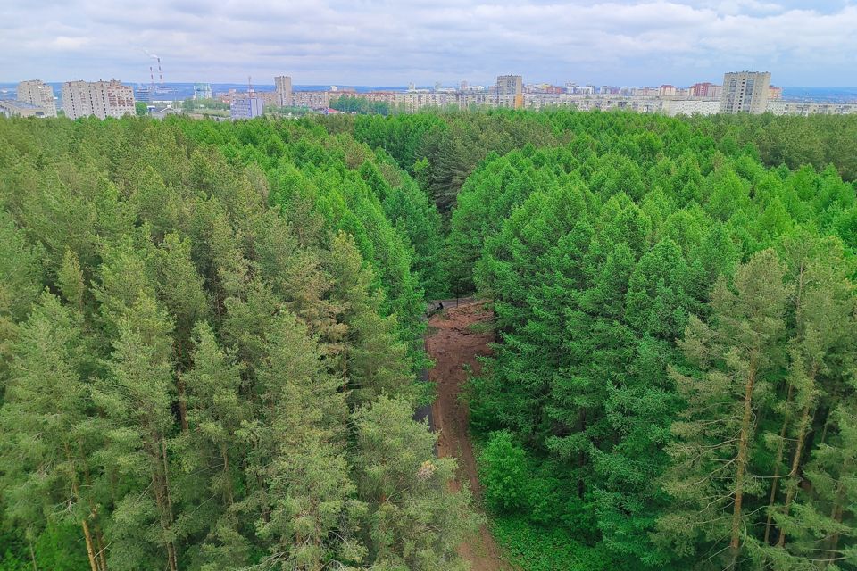1 комнатная квартира с красивым видом на лесопарк.