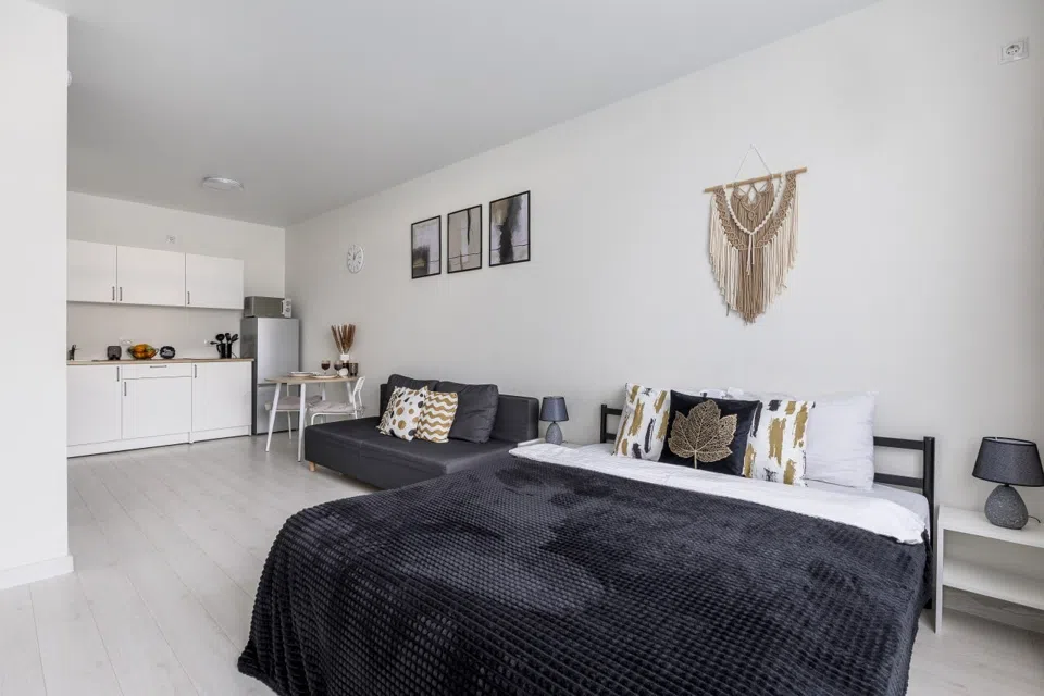 Апартаменты Черная лилия Studio ApartaMIA
