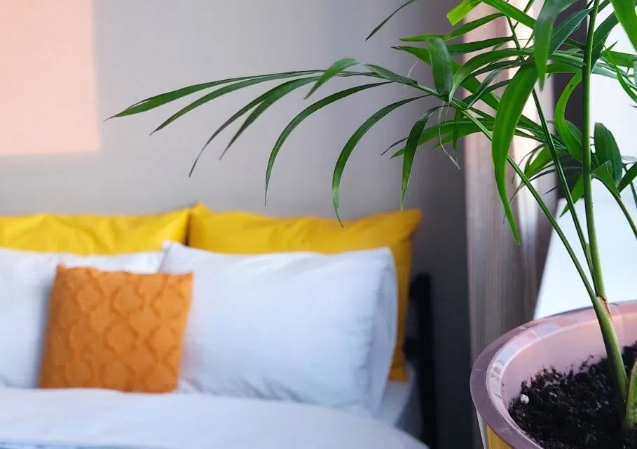 Квартира Бирюза Studio ApartaMIA