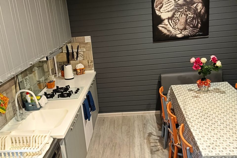 Загородный дом с ручным Енотом. 